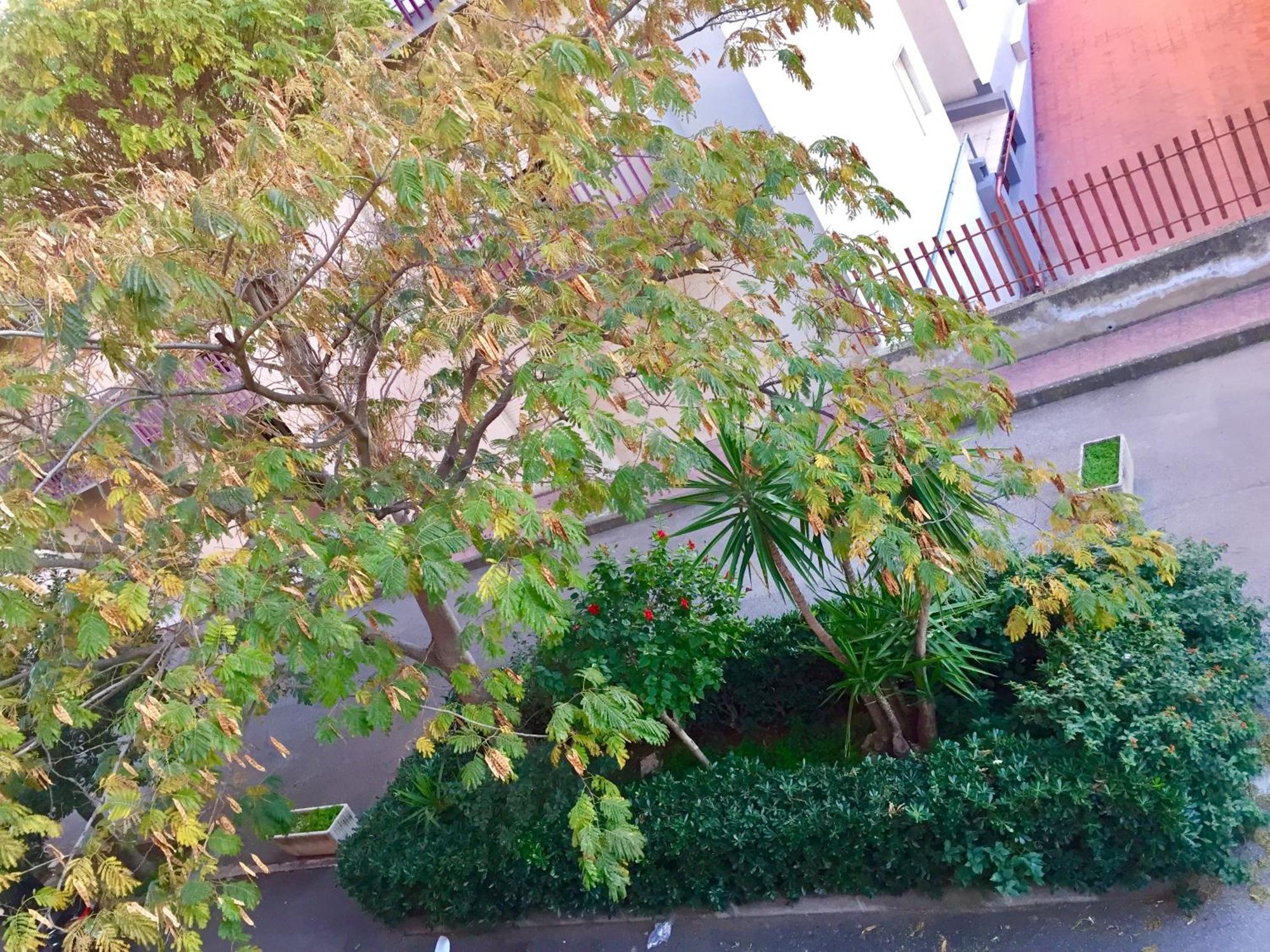 Casa Cristina Comiso Exterior foto